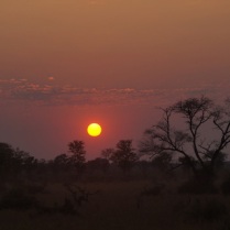 Sunrise @ South Luangwa NP